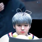 [박지훈] 해야할 투표가 이쪄욘