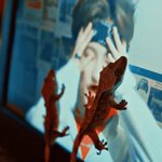 [NCT] 예스투데이 뮤비 진짜 <b>느낌</b>좋아