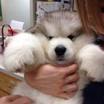 [댓글부탁해] 썸인지아닌지 구분해줘 젭..알..ㅠㅠㅠㅠㅠㅠㅠㅠㅠㅠ