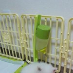 [반려<b>동물</b>] 밥그릇사줬더니 ...
