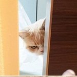 야 너 <b>너모</b> 기엽다 ㅋㅋ