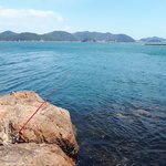 30대 남자의 삶