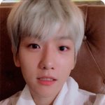 [백현] 화요일 백현 포카 <b>스캔</b>본 