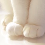[드루와] 피부 안좋은데 <b>블러셔</b>쓰면 ㅂㄹ?