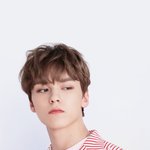 [세븐틴] ㅇ 사진 약간