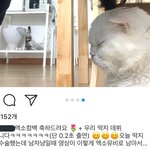 [시우민] 시우민 품에 안겼던 <b>딱지</b>는 해명해라
