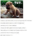 워너원 이제 인기 <b>시들</b>해지나? (타게시판 글 펌)