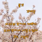 [<b>꼬랑</b>단] 풀꼬 -꼬태주