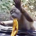 나날이 발전하는 일본...