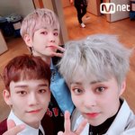 [EXO] 첸백시 꽃말 정리