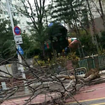 [댓글부탁해] 컴퓨터실차단사이트뚫는법