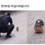 [방탄소년단] <b>팟</b>!찌!밍!