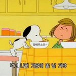 [드루와] 얘둘앙 감기걸리는법 ㅜㅠ