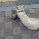 별 거 아닌데 <b>힐링</b>된다 이거