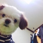 도시사는 애들아 너희 10시 넘어도 건물 <b>불</b> 다 켜져있오?