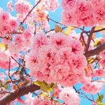 [조언부탁해] 나 어떡하지?... ㅈㅂ 조언좀ㅠㅠㅠㅠ