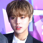 멍뭉미 <b>포텐</b> 터진 박지훈