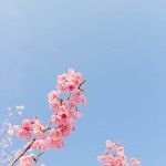 [댓글부탁해] 졸사잘찍은후기 졸사찍는애들봐봐