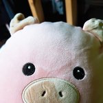[드루와] 얘들아 코디좀 봐주라 ㅈㅂㅈㅂ
