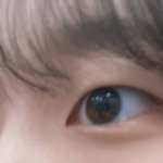 [댓글부탁해] 이사람 무<b>쌍</b>이야 <b>속</b><b>쌍</b>이야?