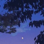 [댓글부탁해] 독서실 <b>하루치</b> 다녀본 사람
