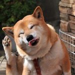 <b>알라</b>븅~