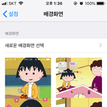 우리 서로 배경화면 보여<b>주자</b>