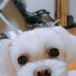 [댓글부탁해] 핸폰 <b>개통</b> 토요일에도돼????
