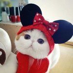 <b>쟈</b>기야