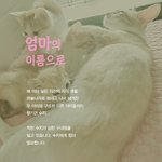 따뜻한 모성애 가득한 수지가 구내염을 이겨내도록