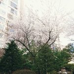 급함))2달에 <b>돈</b> 8만원