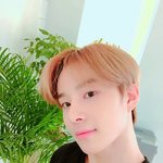 [NCT] 타팬인데요 ㅠㅠㅠ