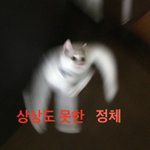 Why <b>so</b> serious ?