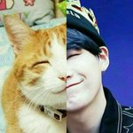 [방탄소년단] <b>융기</b> 애옹이 아닐리 없다..