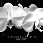 [미<b>소미</b>] 아 자살하는거 보고싶다