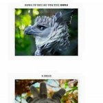 [드루와] 얘들아 에뛰드 섀도우 여기서 하나빼야되는데