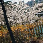 [드루와] 너네 <b>체육</b> 일주일에 몇번하냐ㅠㅠㅜ