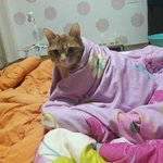 [댓글부탁해] 이거 프사하면 <b>힙</b>찔이같음?