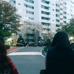[드루와] 우리<b>집</b> <b>앞</b>에서 밥잘사주는 예쁜누나 촬영한다ㅋㅋ