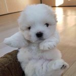 [댓글부탁해] 얘들아 과일<b>주스</b>마셔도 피부 안좋아져?