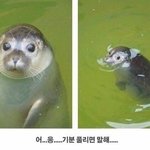 [댓글부탁해] 고1인데 나 망했어??