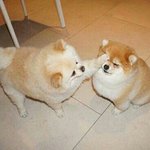 [댓글부탁해] 남자가 <b>내손</b>옆에 자기손을 놨는데