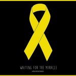 애들아 우리 노란<b>리본</b>