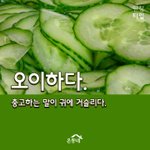 얘들아 <b>진로</b> 조언 좀 해주라