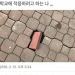 [드루와] 시험 10일 남았는데