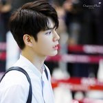 옹성우 하라주쿠 목격담 뜬거 봤어?