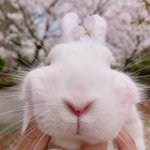 [댓글부탁해] 쌍커풀 생기는 법 없을까 ㅠㅠ?