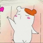 [조언부탁해] 뚱카롱 유명한데 어디있냐