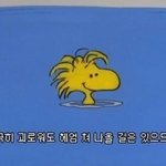 너네 사실인걸 <b>칭찬</b>받으면 어떻게함?
