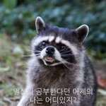 [드루와] 아 나 ㄹㅇ치질인가봐